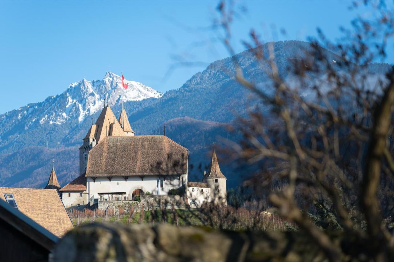 Nonanteneuf Appart Hotel Aigle - Contactless Check-In Zewnętrze zdjęcie